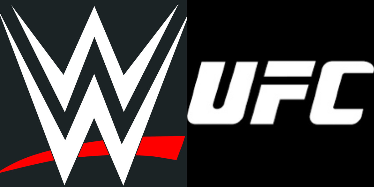 ادغام WWE و UFC / سودی بزرگ یا حرکتی احمقانه؟