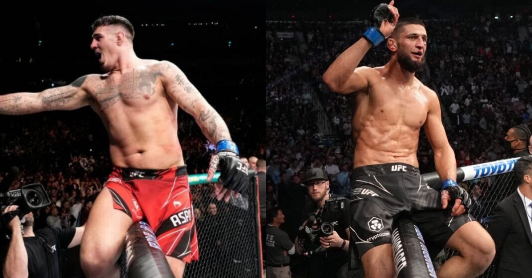 5 مبارزی که پتانسیل قهرمانی در UFC را دارند